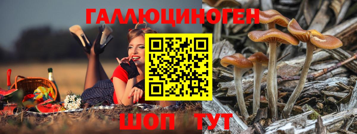 Псилоцибиновые грибы Psilocybe Троицк